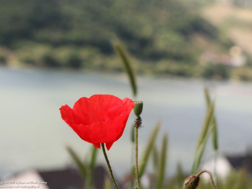 Philosophische Bildwanderung Rhein-Wisper-Glück - Taunus