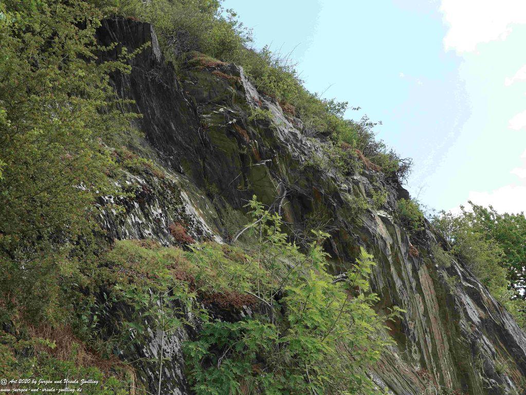 Philosophische Bildwanderung Rhein-Wisper-Glück - Taunus