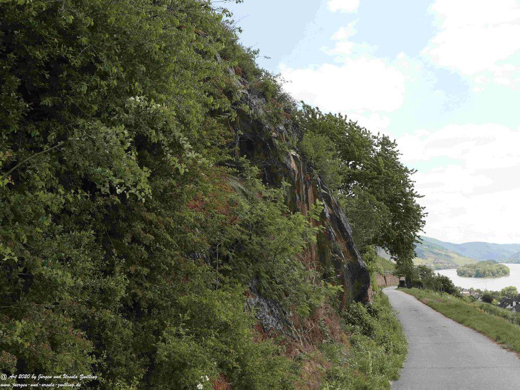 Philosophische Bildwanderung Rhein-Wisper-Glück - Taunus