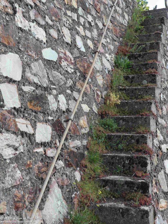 Philosophische Bildwanderung Rhein-Wisper-Glück - Taunus