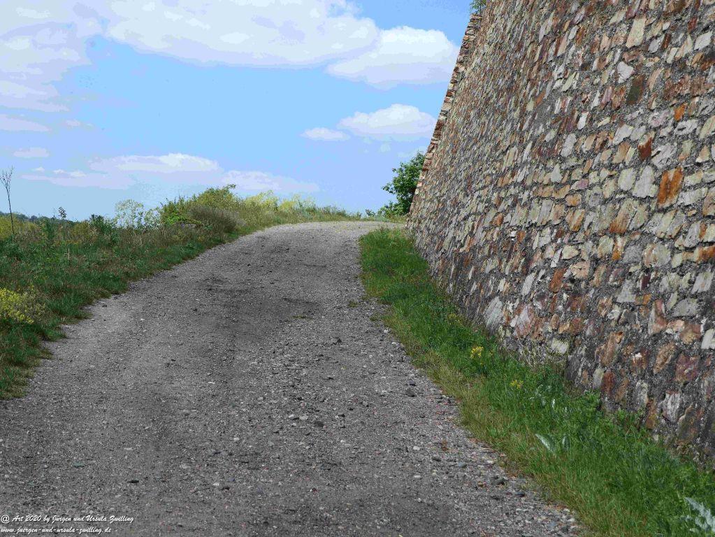 Philosophische Bildwanderung Rhein-Wisper-Glück - Taunus