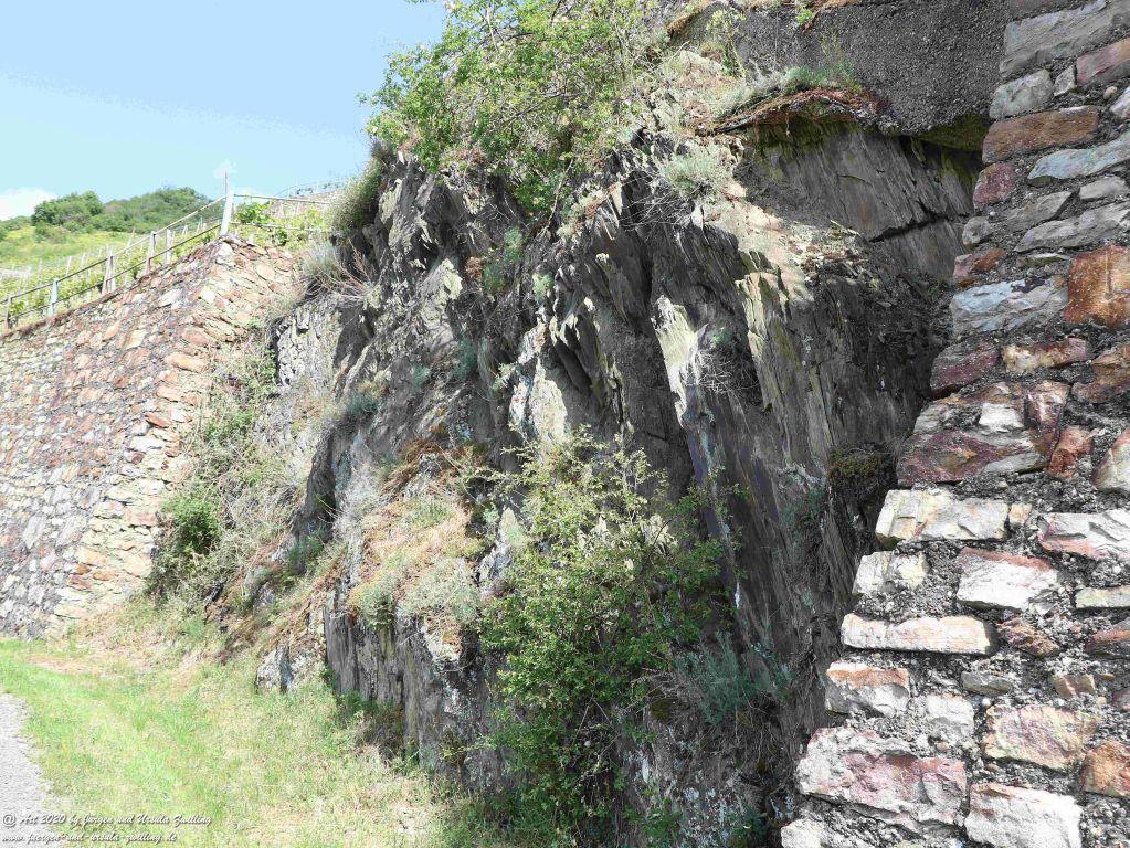 Philosophische Bildwanderung Rhein-Wisper-Glück - Taunus