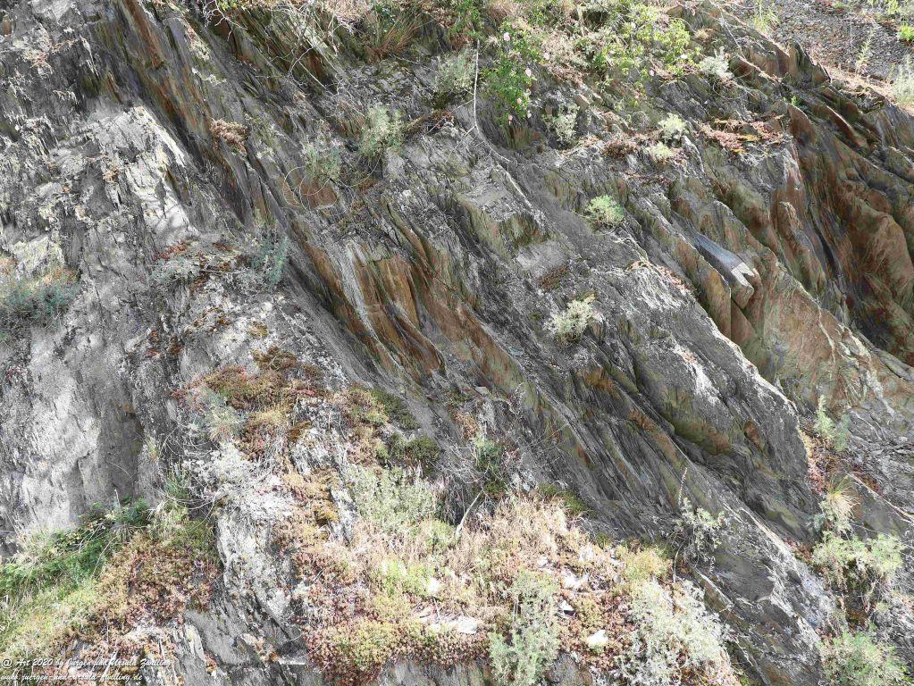 Philosophische Bildwanderung Rhein-Wisper-Glück - Taunus