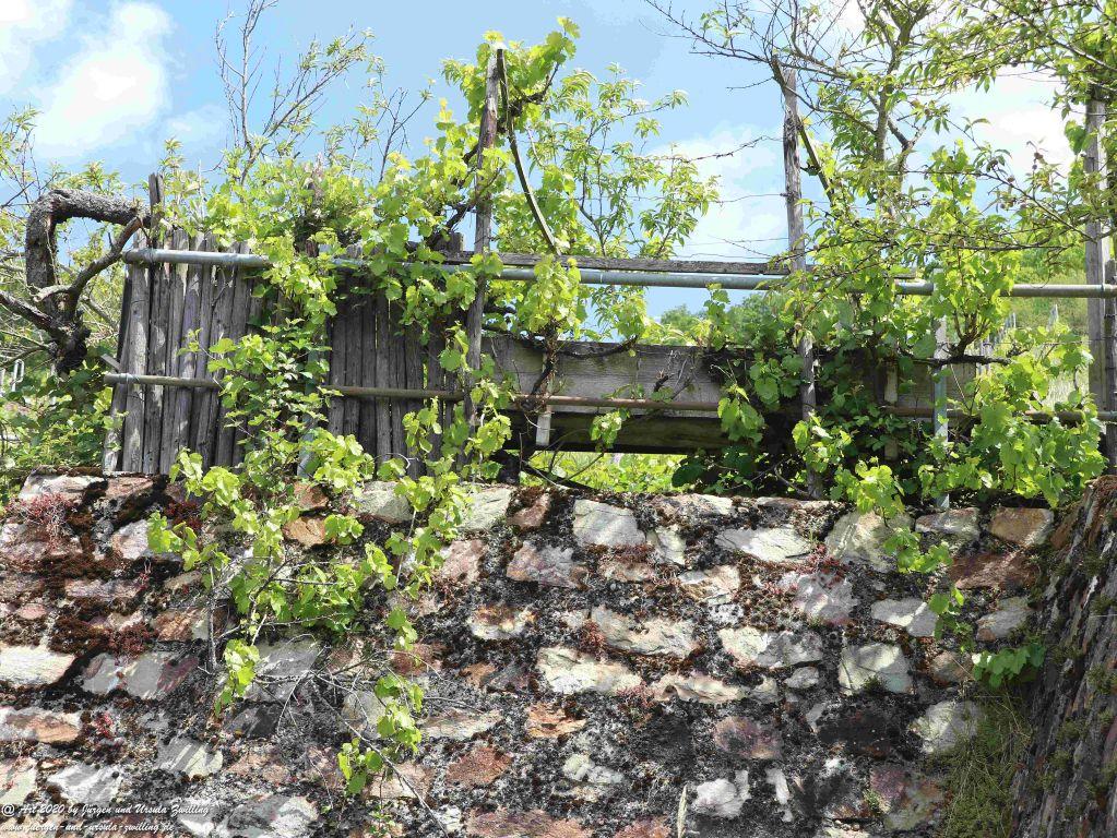 Philosophische Bildwanderung Rhein-Wisper-Glück - Taunus