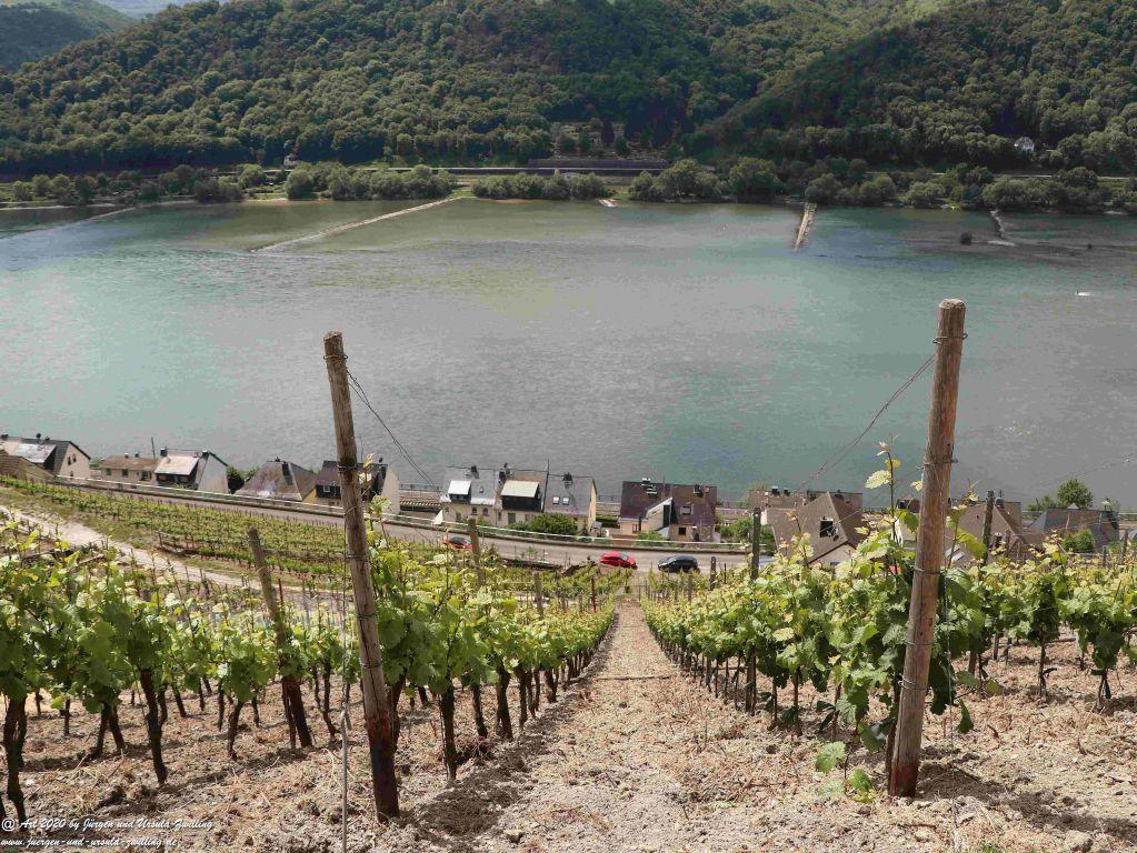 Philosophische Bildwanderung Rhein-Wisper-Glück - Taunus