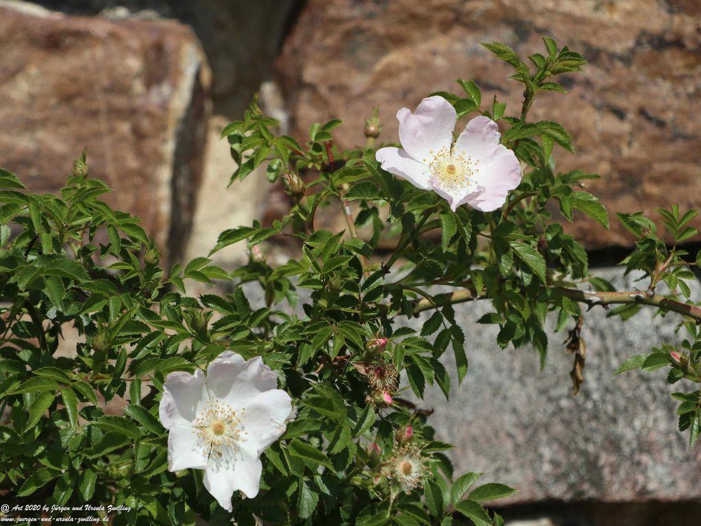 Philosophische Bildwanderung Rhein-Wisper-Glück - Taunus