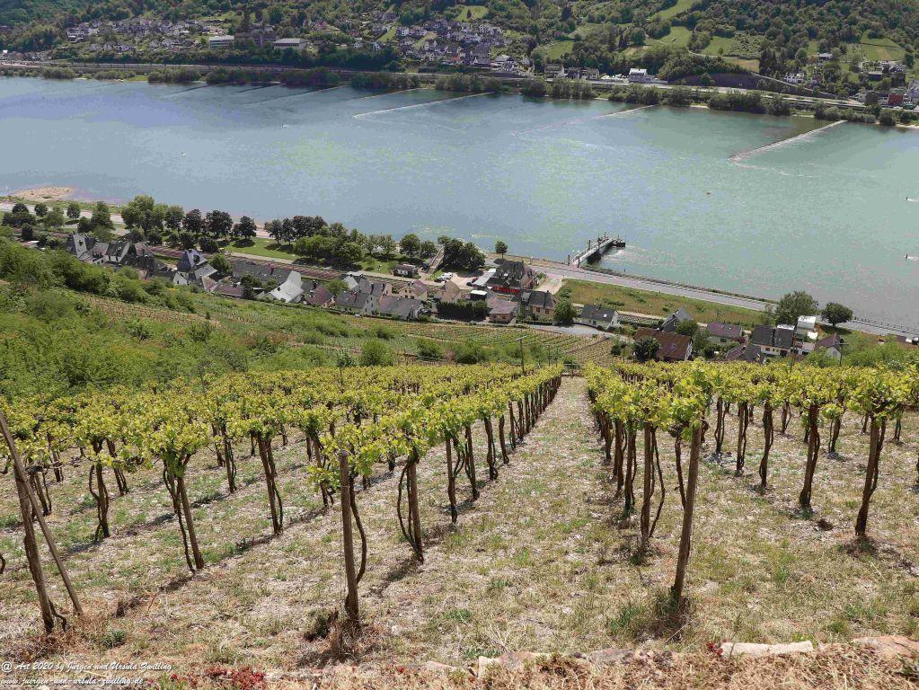 Philosophische Bildwanderung Rhein-Wisper-Glück - Taunus