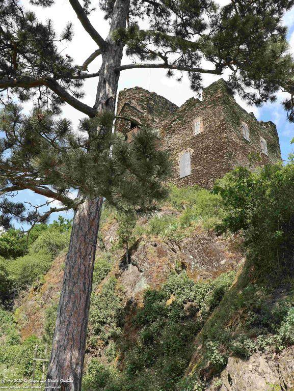 Philosophische Bildwanderung Rhein-Wisper-Glück - Taunus