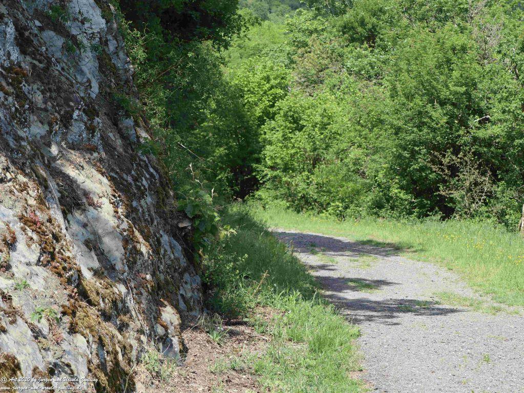 Philosophische Bildwanderung Rhein-Wisper-Glück - Taunus