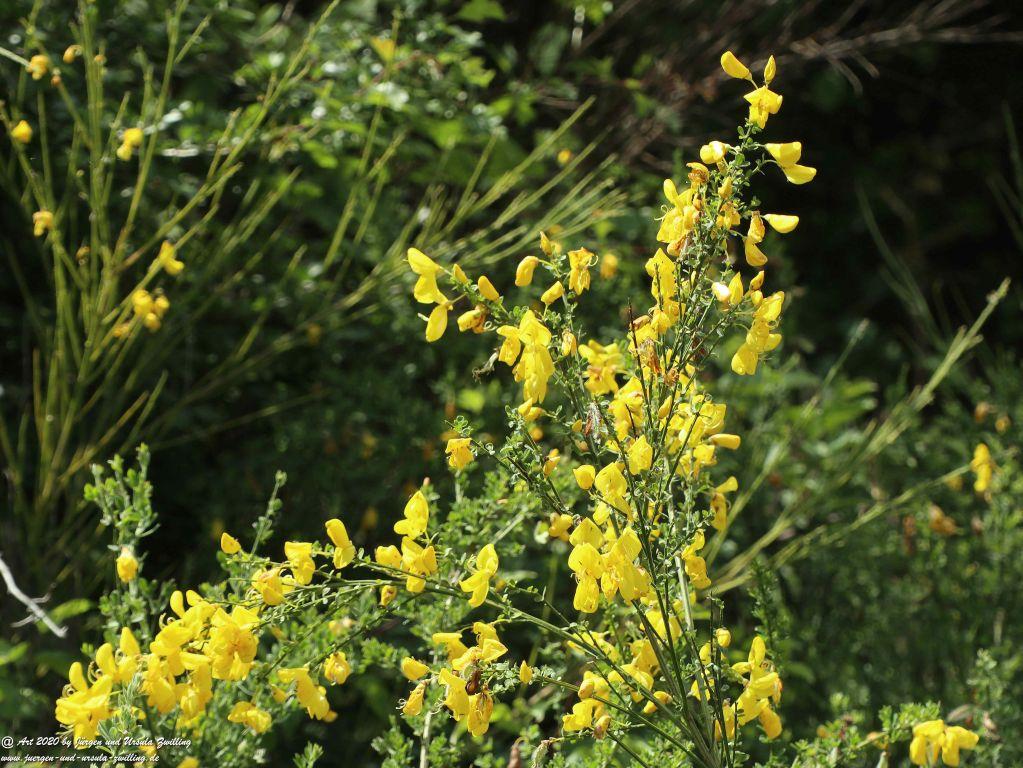Philosophische Bildwanderung Rhein-Wisper-Glück - Taunus