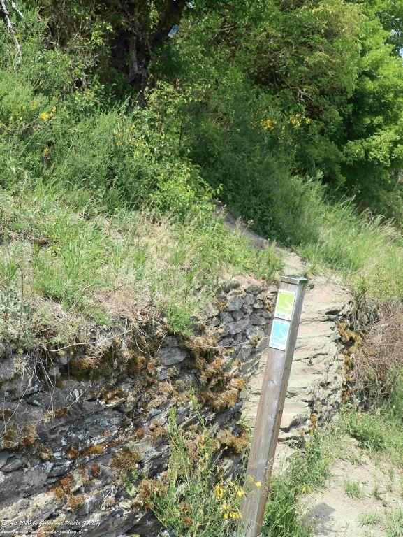 Philosophische Bildwanderung Rhein-Wisper-Glück - Taunus