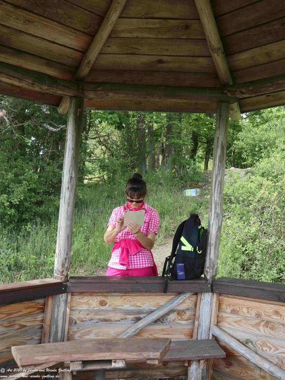 Philosophische Bildwanderung Rhein-Wisper-Glück - Taunus