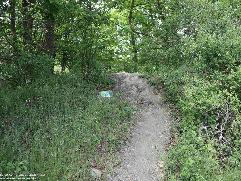 Philosophische Bildwanderung Rhein-Wisper-Glück - Taunus