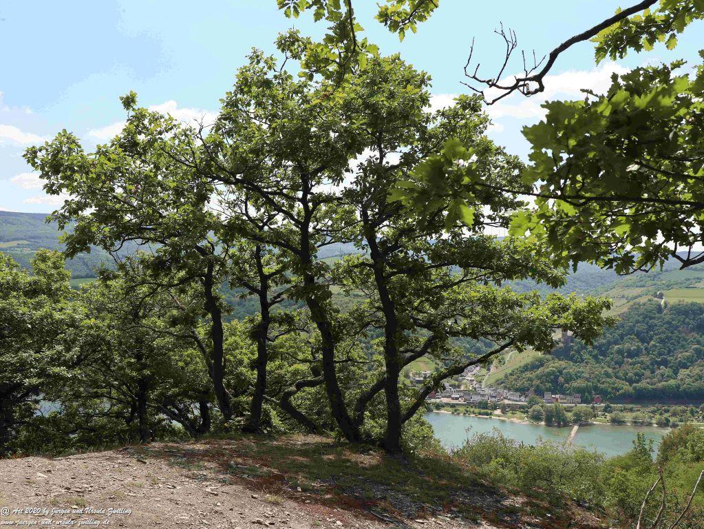 Philosophische Bildwanderung Rhein-Wisper-Glück - Taunus