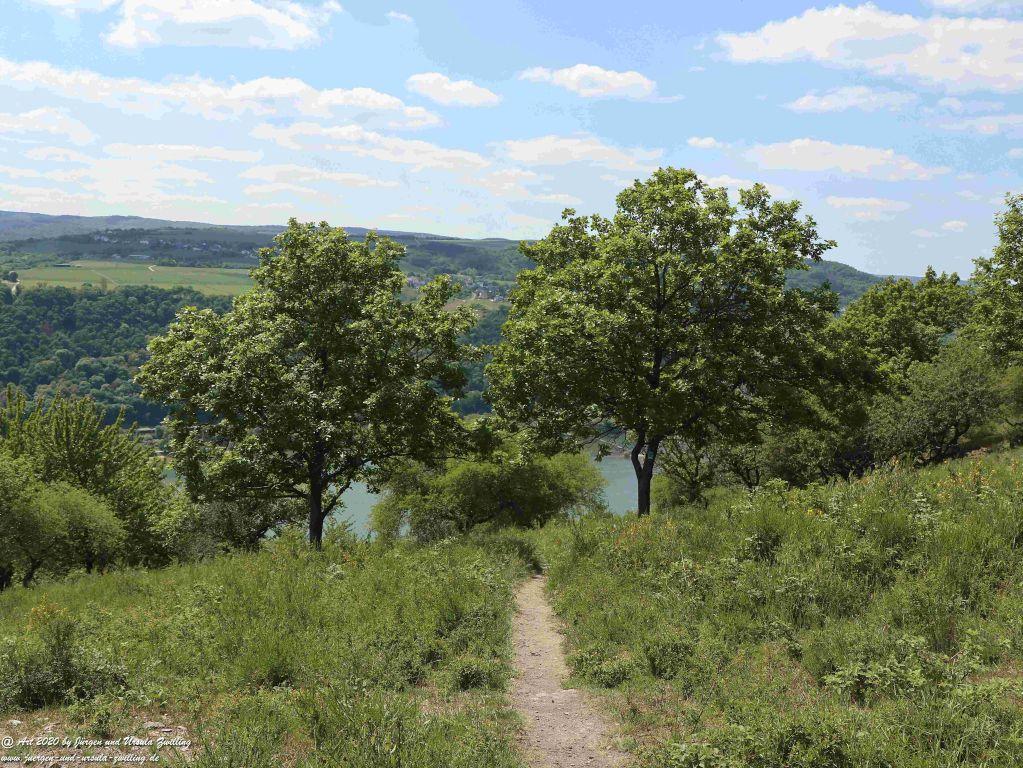 Philosophische Bildwanderung Rhein-Wisper-Glück - Taunus