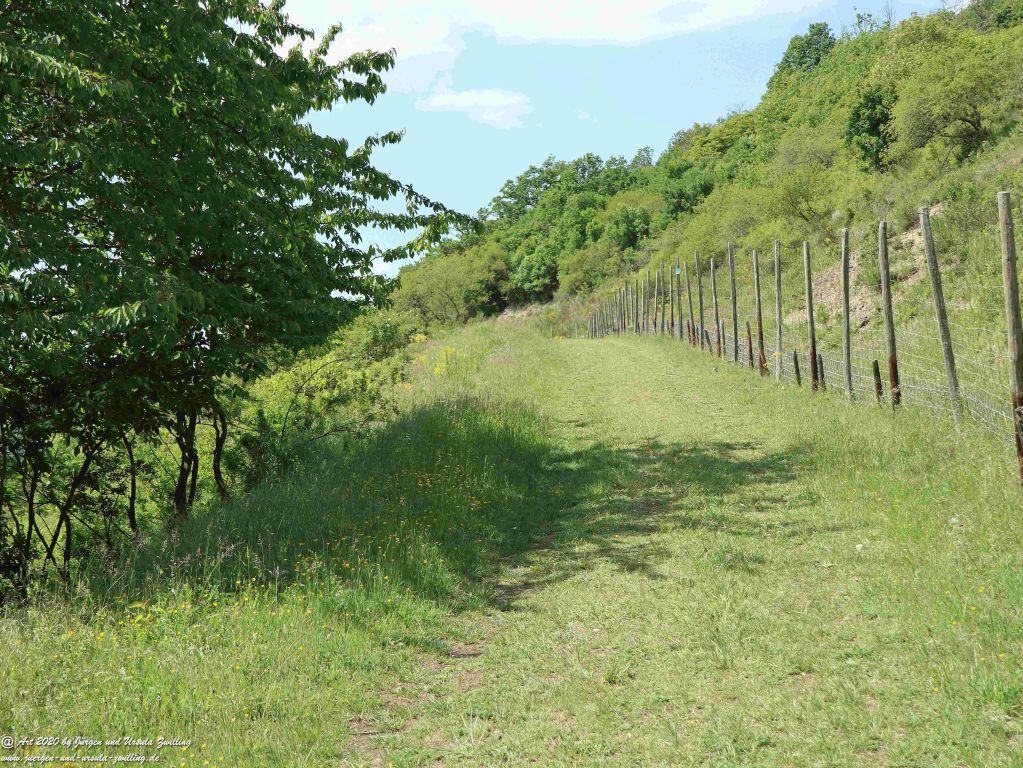 Philosophische Bildwanderung Rhein-Wisper-Glück - Taunus
