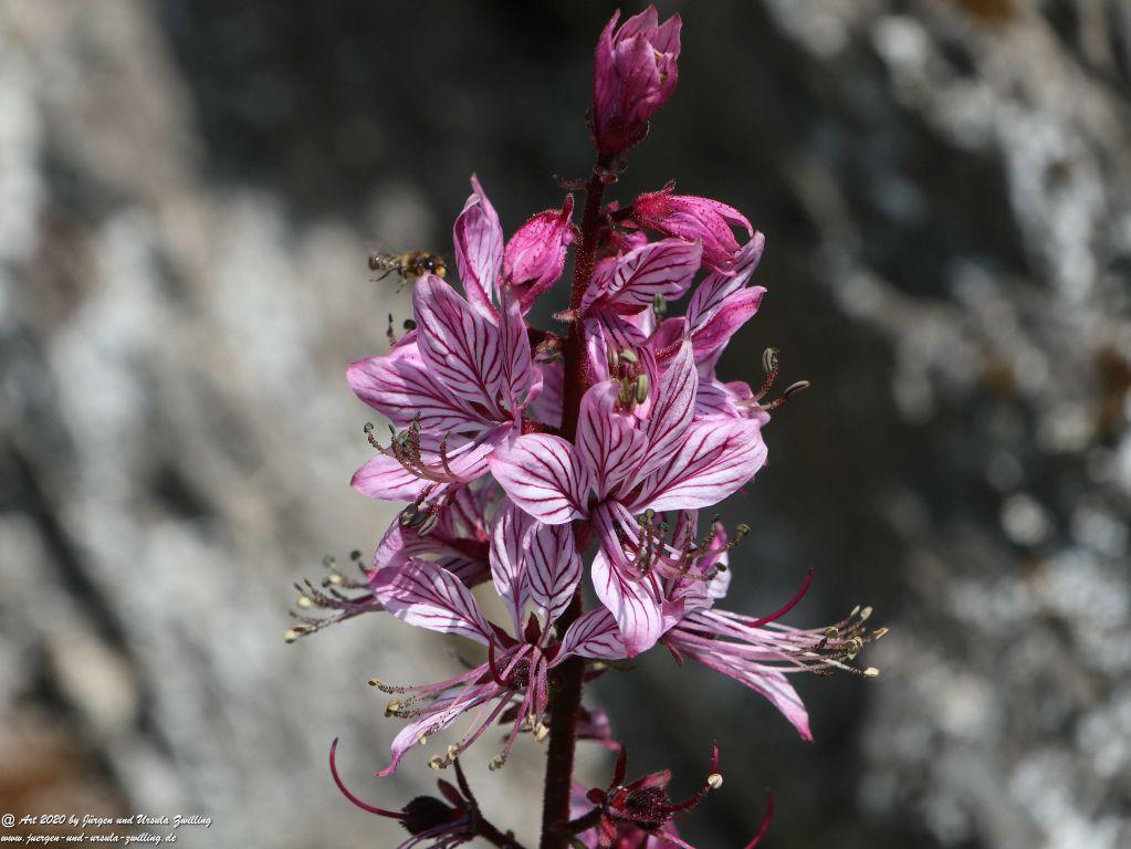 Philosophische Bildwanderung Rhein-Wisper-Glück - Taunus