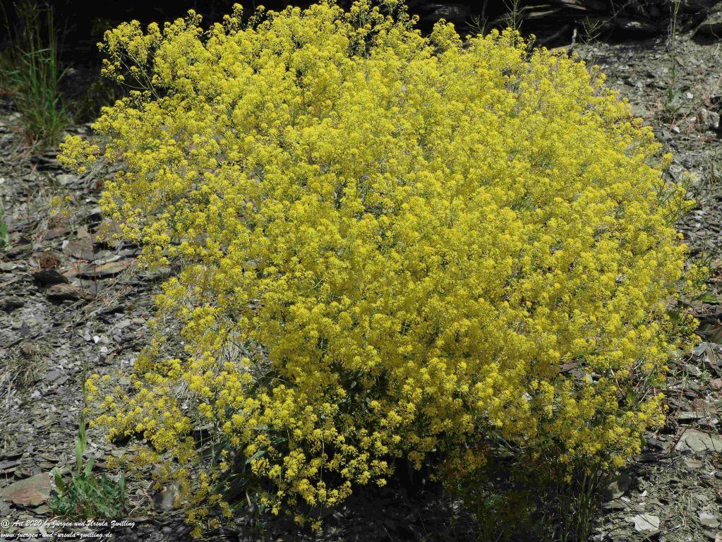 Philosophische Bildwanderung Rhein-Wisper-Glück - Taunus