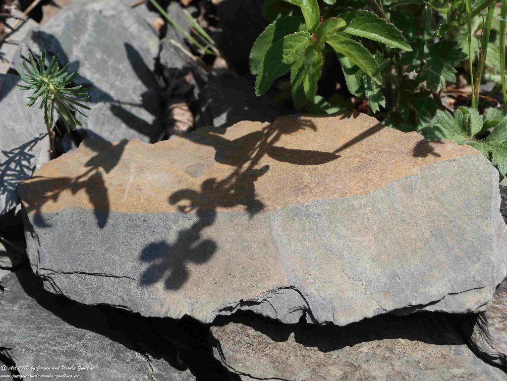 Philosophische Bildwanderung Rhein-Wisper-Glück - Taunus