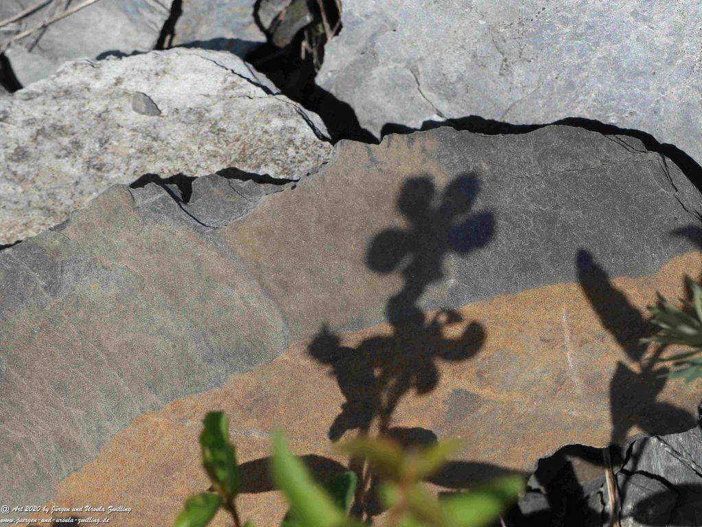 Philosophische Bildwanderung Rhein-Wisper-Glück - Taunus