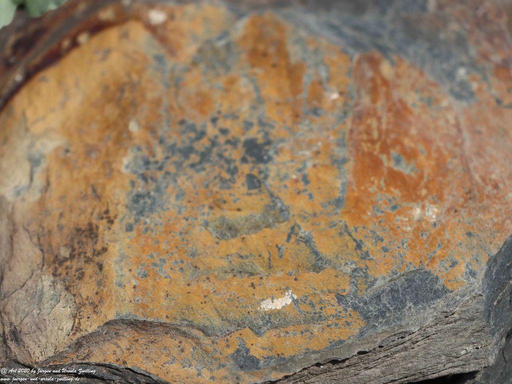 Philosophische Bildwanderung Rhein-Wisper-Glück - Taunus