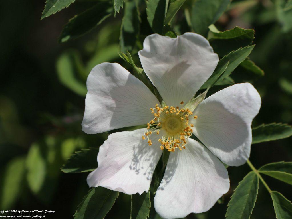 Philosophische Bildwanderung Rhein-Wisper-Glück - Taunus