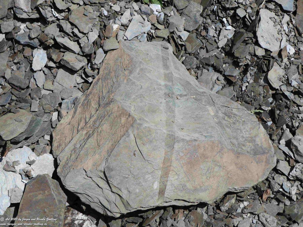 Philosophische Bildwanderung Rhein-Wisper-Glück - Taunus