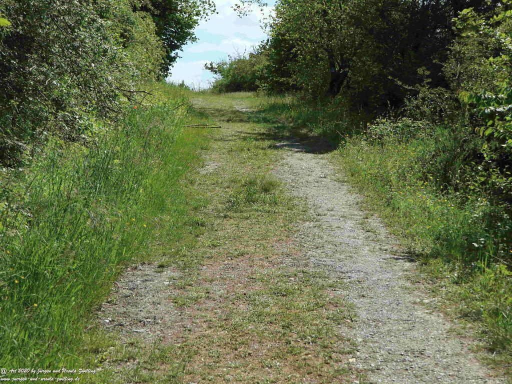 Philosophische Bildwanderung Rhein-Wisper-Glück - Taunus