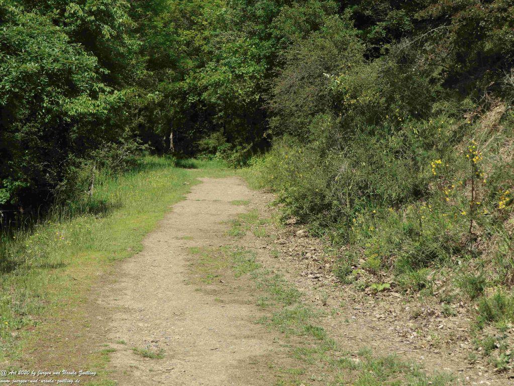 Philosophische Bildwanderung Rhein-Wisper-Glück - Taunus
