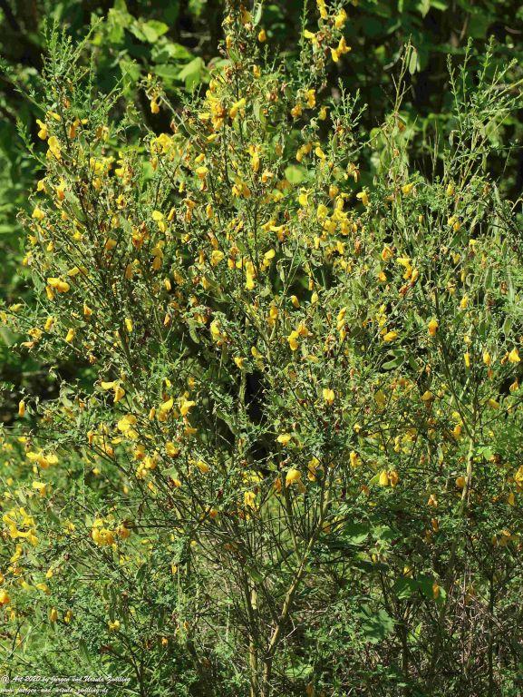 Philosophische Bildwanderung Rhein-Wisper-Glück - Taunus