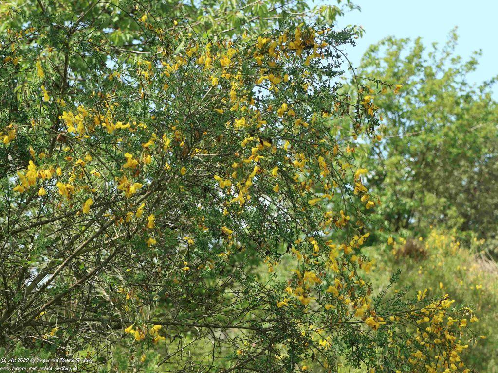 Philosophische Bildwanderung Rhein-Wisper-Glück - Taunus