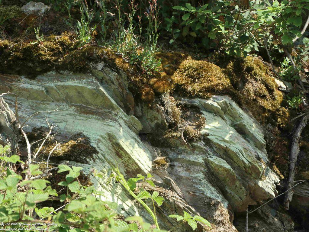 Philosophische Bildwanderung Rhein-Wisper-Glück - Taunus