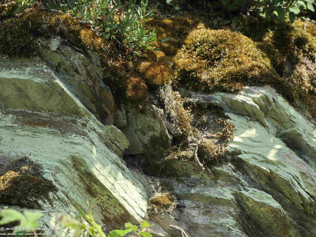 Philosophische Bildwanderung Rhein-Wisper-Glück - Taunus