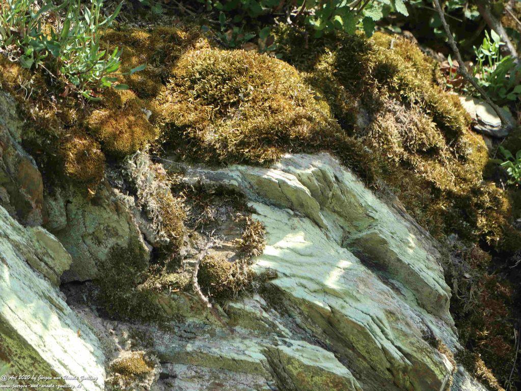 Philosophische Bildwanderung Rhein-Wisper-Glück - Taunus