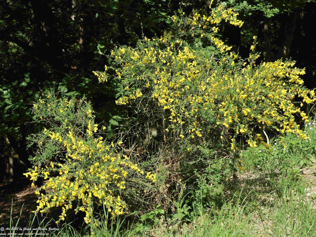 Philosophische Bildwanderung Rhein-Wisper-Glück - Taunus