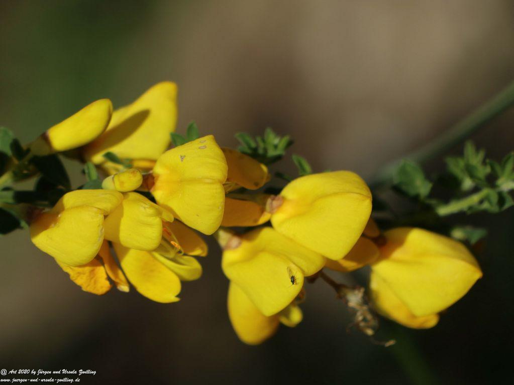 Philosophische Bildwanderung Rhein-Wisper-Glück - Taunus