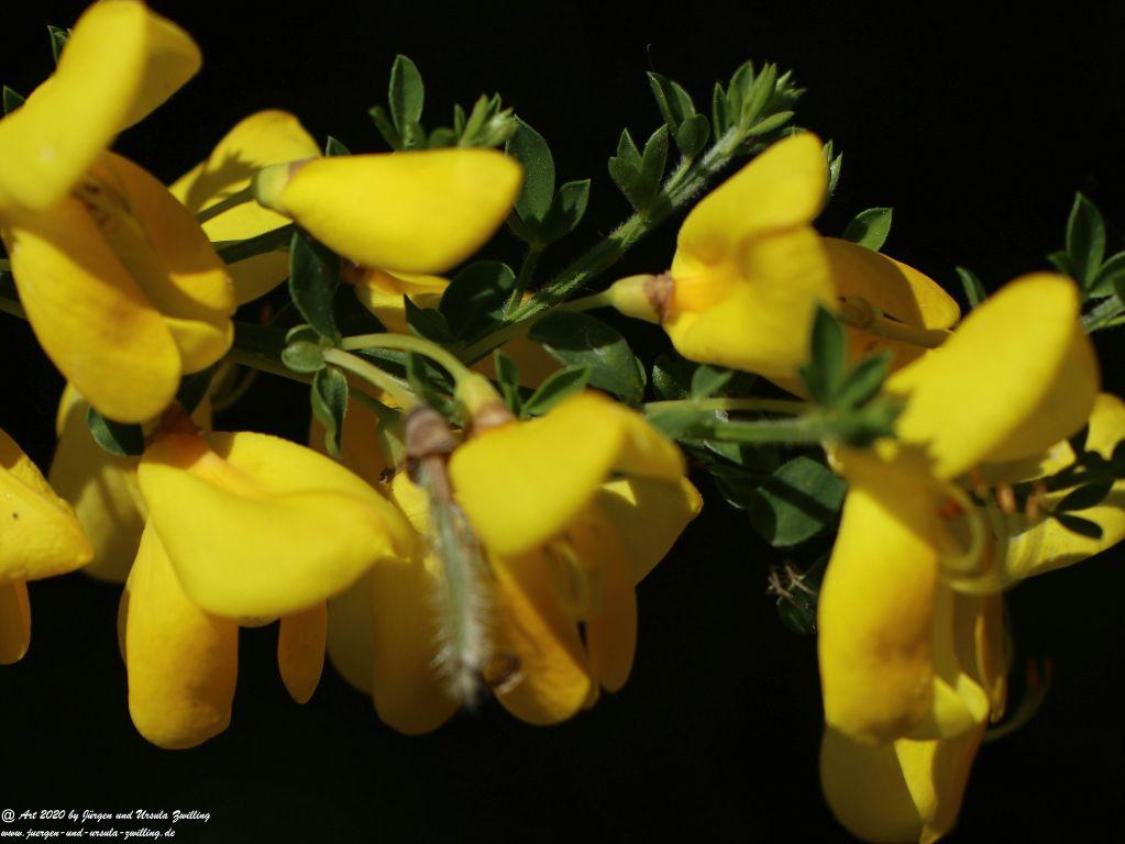 Philosophische Bildwanderung Rhein-Wisper-Glück - Taunus