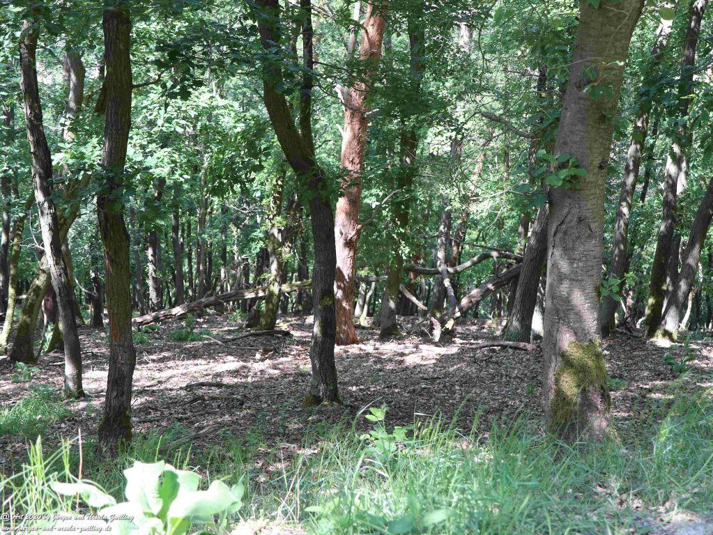 Philosophische Bildwanderung Rhein-Wisper-Glück - Taunus