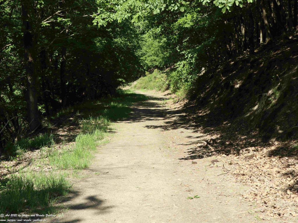 Philosophische Bildwanderung Rhein-Wisper-Glück - Taunus