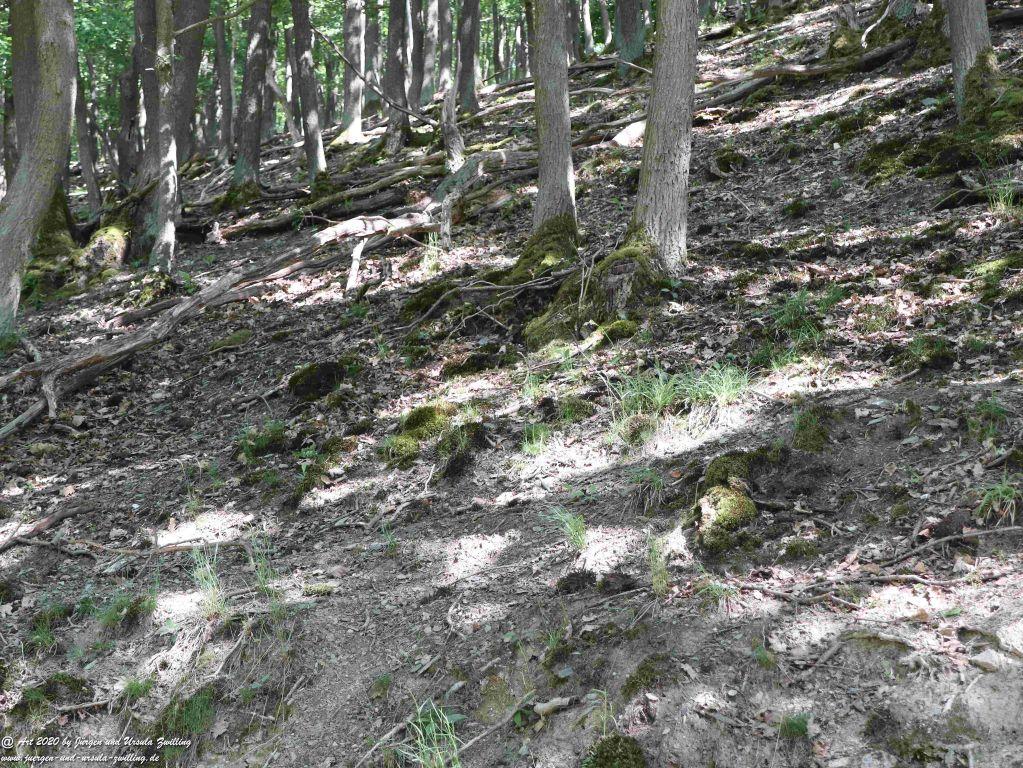 Philosophische Bildwanderung Rhein-Wisper-Glück - Taunus