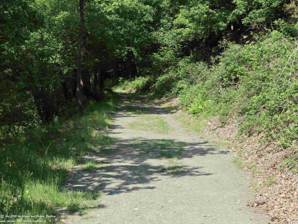 Philosophische Bildwanderung Rhein-Wisper-Glück - Taunus