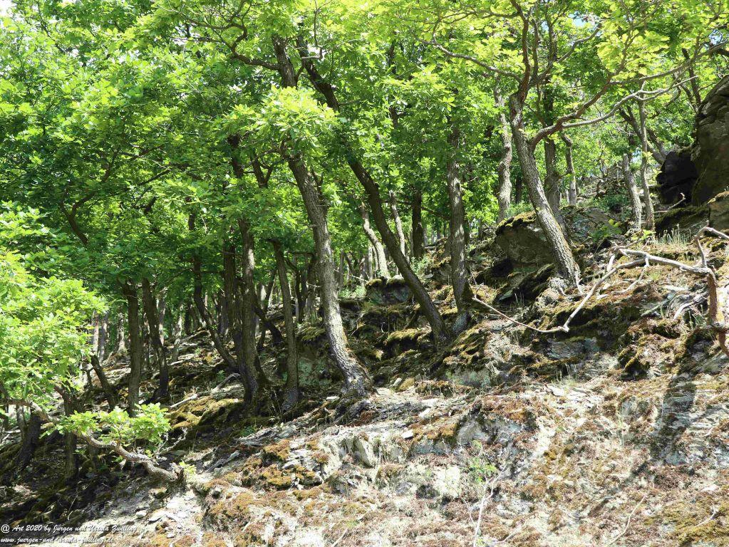 Philosophische Bildwanderung Rhein-Wisper-Glück - Taunus