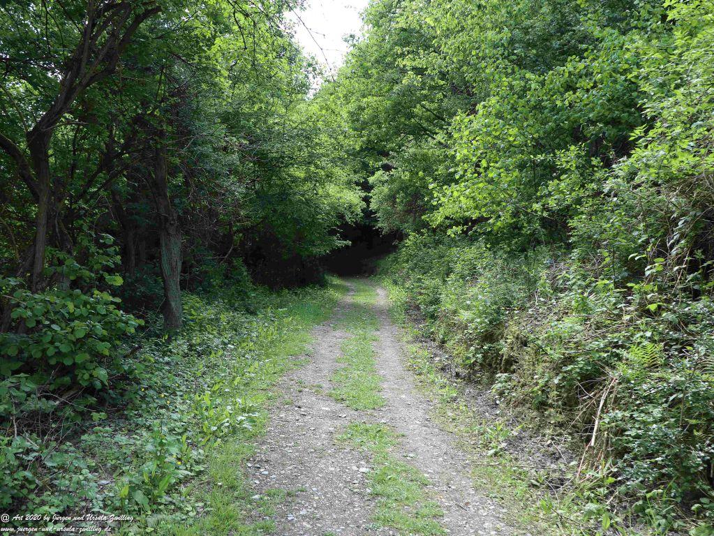 Philosophische Bildwanderung Rhein-Wisper-Glück - Taunus
