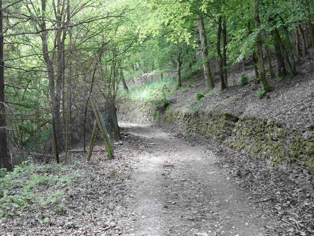Philosophische Bildwanderung Rhein-Wisper-Glück - Taunus