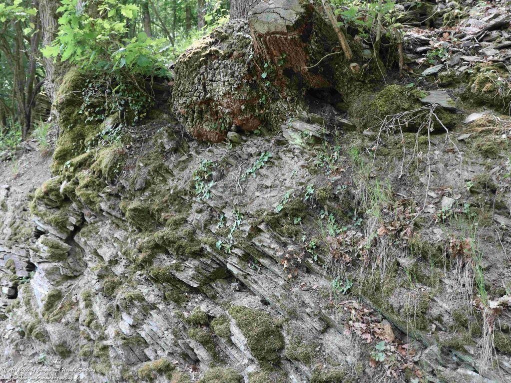 Philosophische Bildwanderung Rhein-Wisper-Glück - Taunus