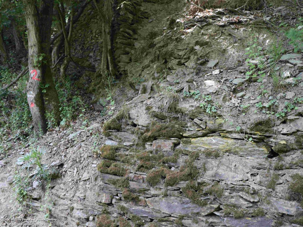 Philosophische Bildwanderung Rhein-Wisper-Glück - Taunus