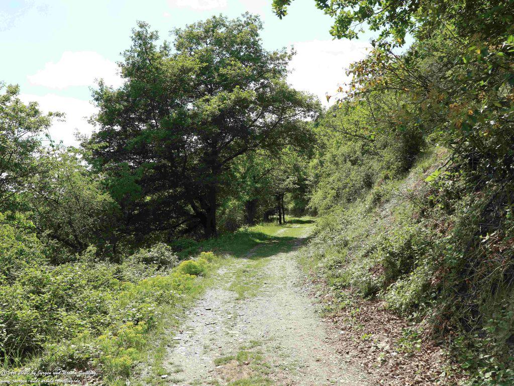 Philosophische Bildwanderung Rhein-Wisper-Glück - Taunus