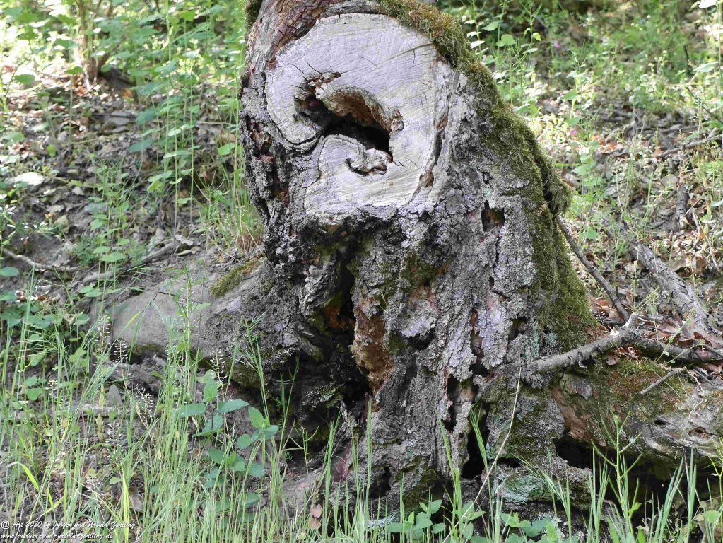 Philosophische Bildwanderung Rhein-Wisper-Glück - Taunus