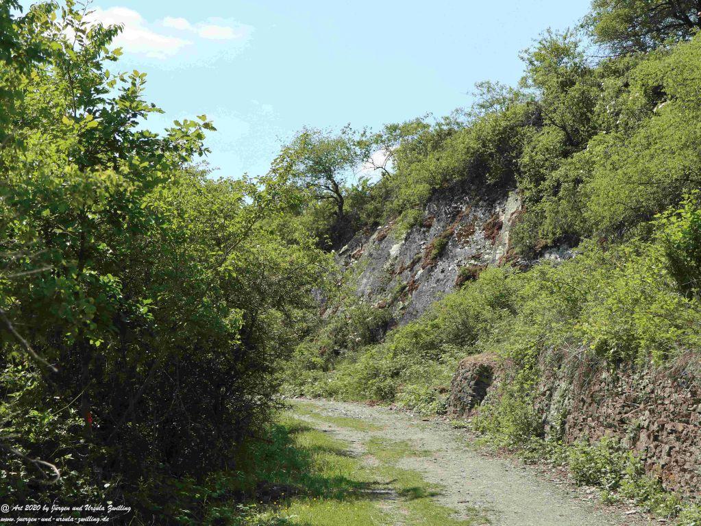 Philosophische Bildwanderung Rhein-Wisper-Glück - Taunus