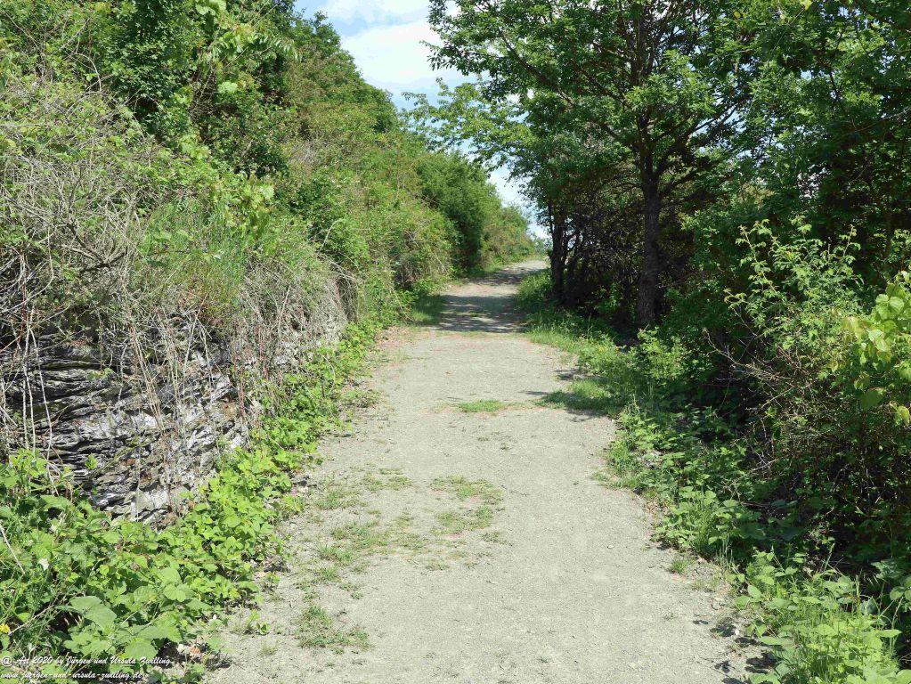 Philosophische Bildwanderung Rhein-Wisper-Glück - Taunus